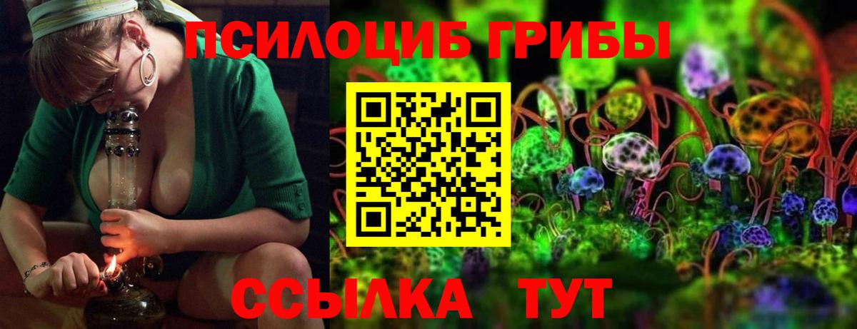 Нефтекумск  Галлюциногенные грибы мухоморы  Вход с VPN 